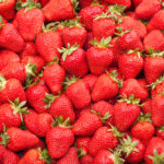 Erdbeeren im Garten - Eine süße Tradition